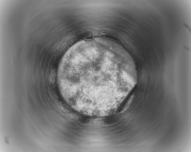 X0000101650078200807311422