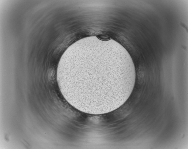 X0000101650079200807311422