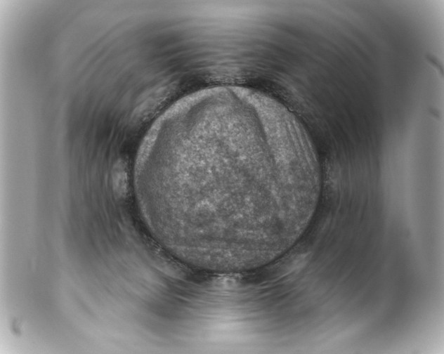 X0000101650080200807311422