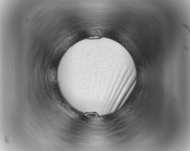 X0000101650081200807311422