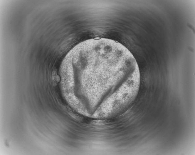 X0000101650082200807311422