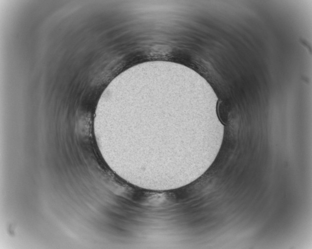 X0000101650083200807311422
