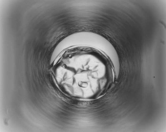 X0000101650084200807311422