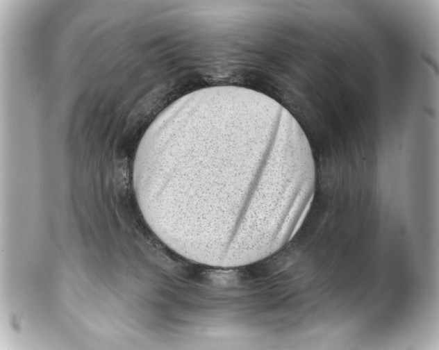 X0000101650085200807311422