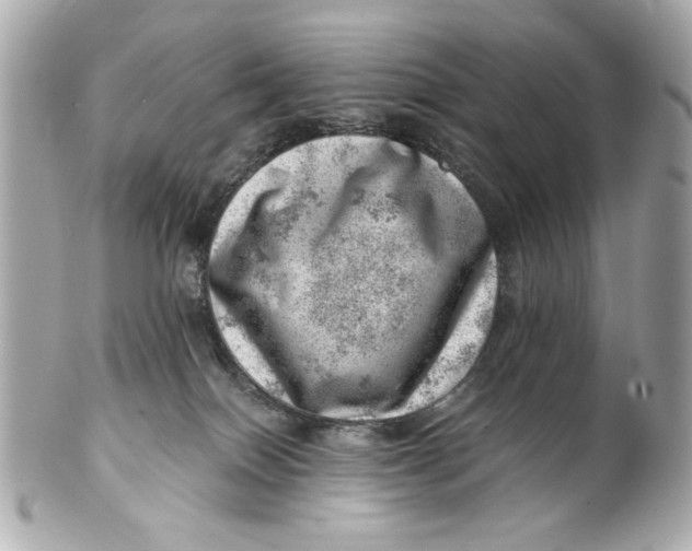 X0000101650086200807311422