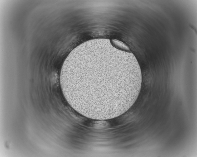 X0000101650087200807311422