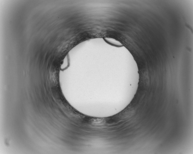 X0000101650088200807311423