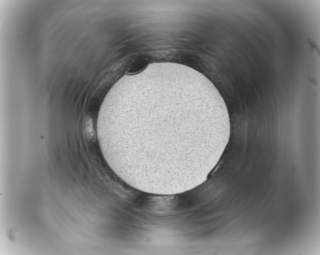 X0000101650089200807311423