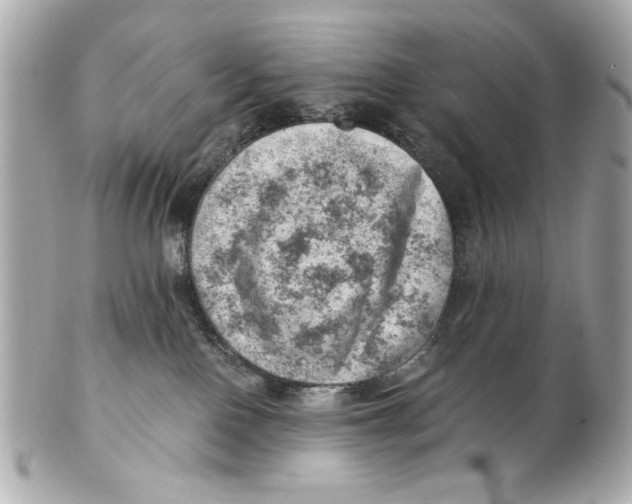 X0000101650090200807311423
