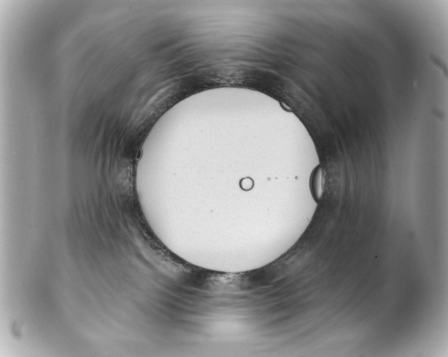 X0000101650092200807311423