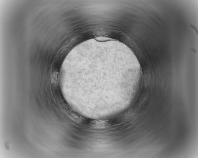X0000101650093200807311423