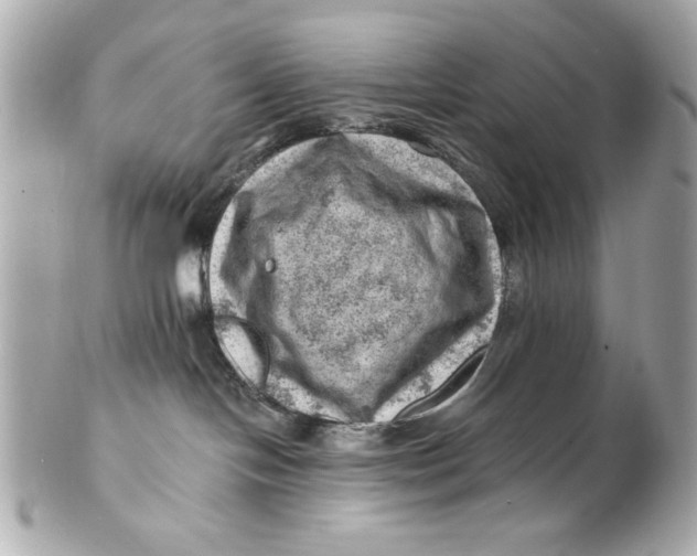 X0000101650094200807311423