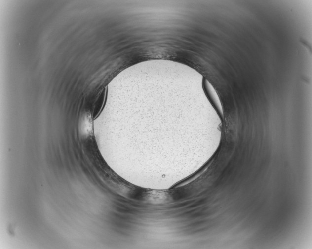 X0000101650095200807311423