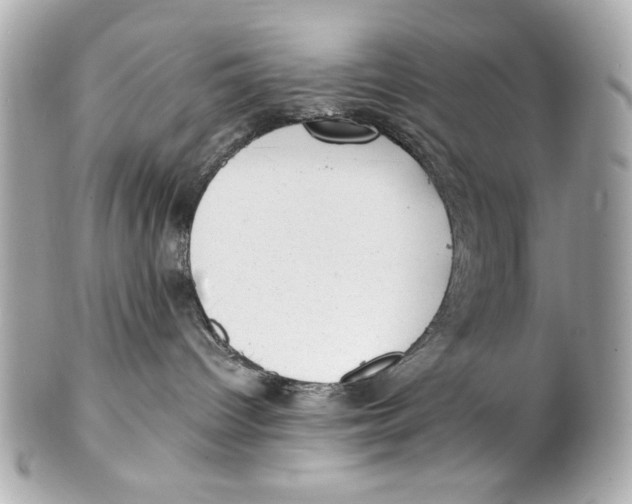 X0000101650096200807311423