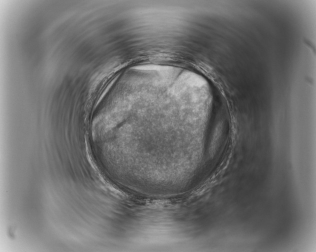X0000101650097200807311422