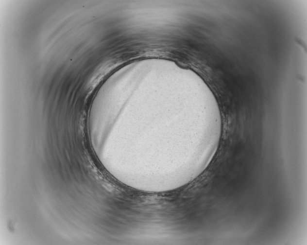 X0000101650098200807311422
