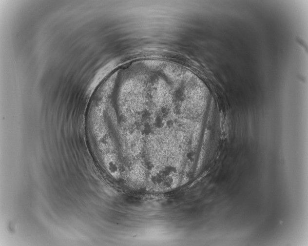 X0000101650099200807311422
