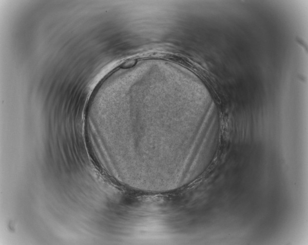 X0000101650100200807311422