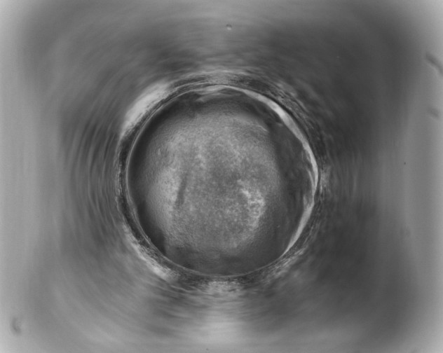 X0000101650101200807311422