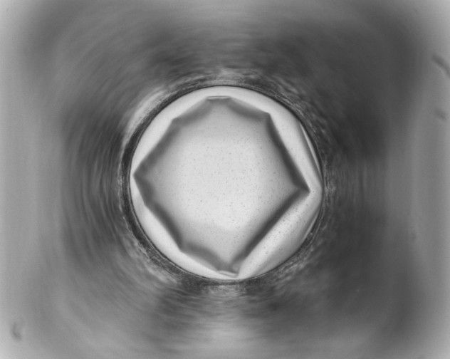 X0000101650102200807311422