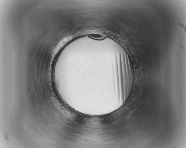 X0000101650104200807311422