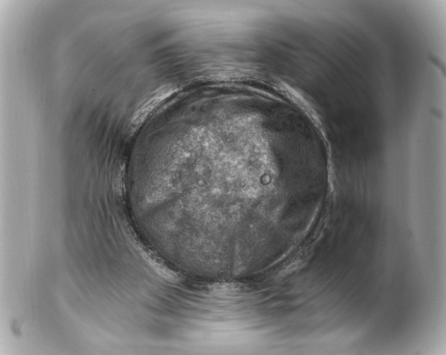 X0000101650105200807311422