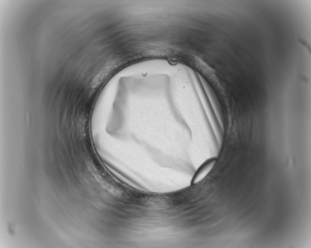 X0000101650106200807311422