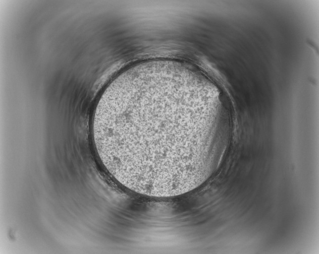 X0000101650107200807311422