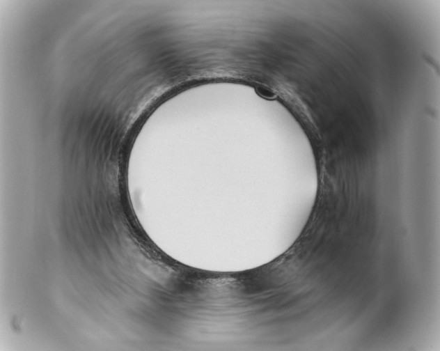 X0000101650108200807311422