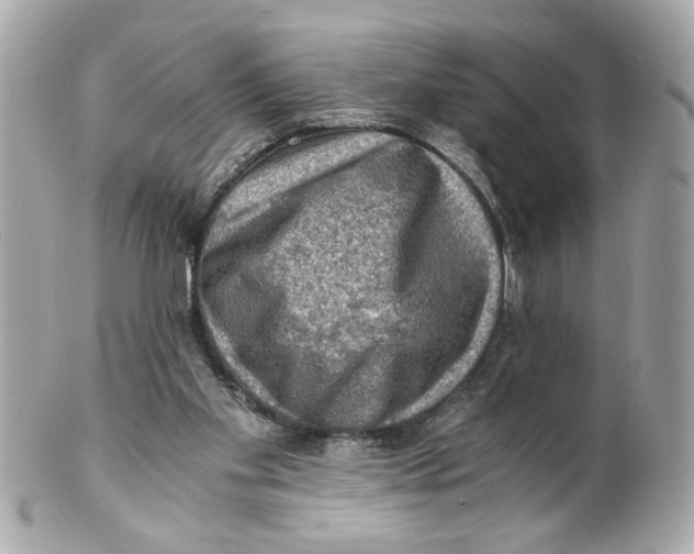 X0000101650109200807311422