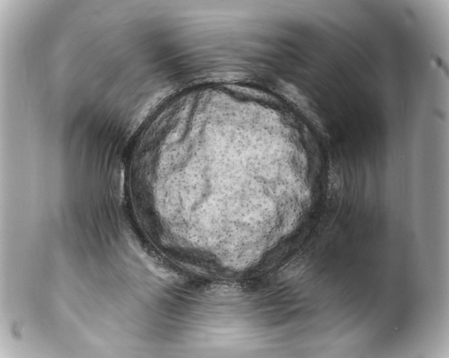 X0000101650110200807311422