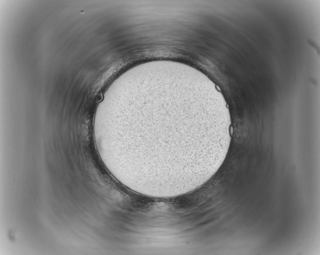 X0000101650111200807311422