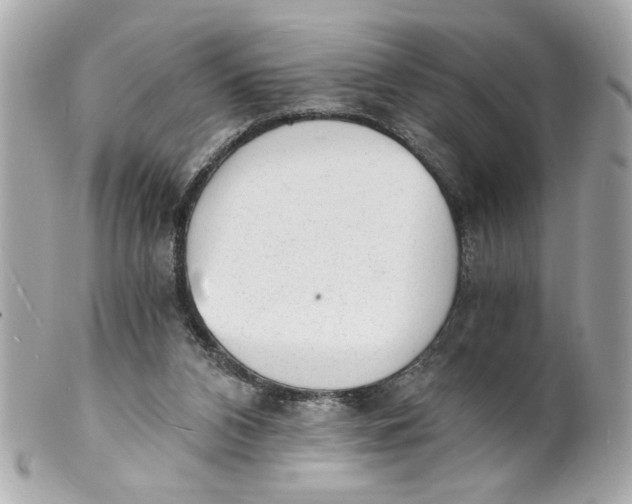X0000101650112200807311422