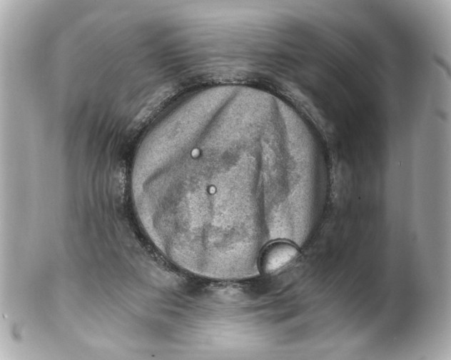 X0000101650113200807311422
