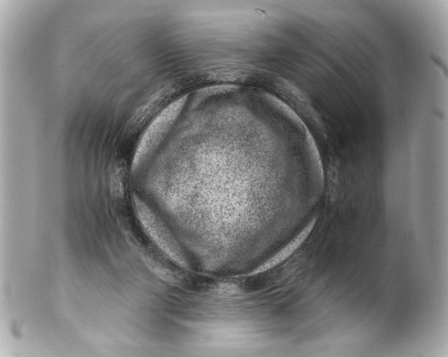 X0000101650114200807311422