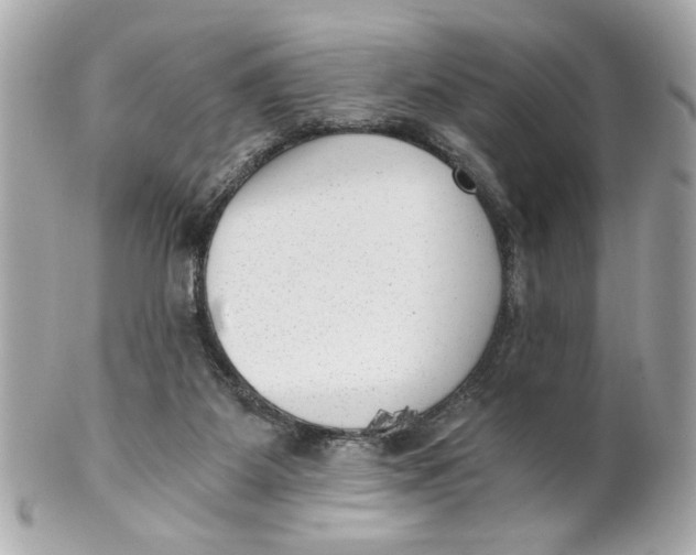 X0000101650115200807311422