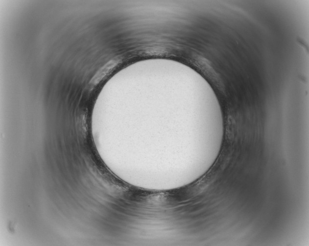X0000101650116200807311422