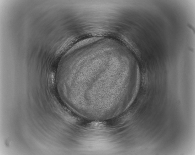 X0000101650117200807311422