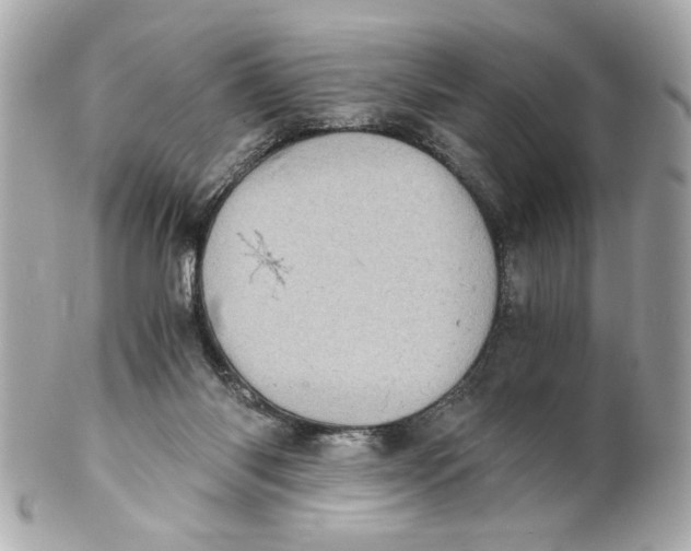 X0000101650118200807311422