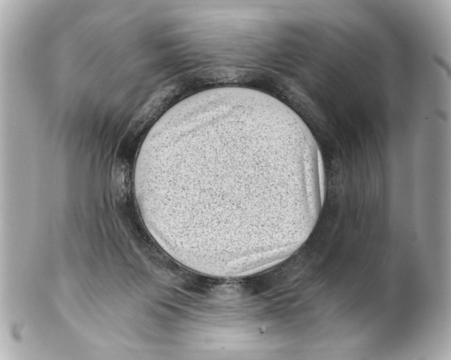 X0000101650119200807311422