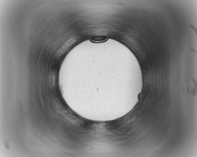 X0000101650120200807311422