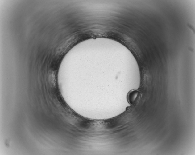X0000101650121200807311422