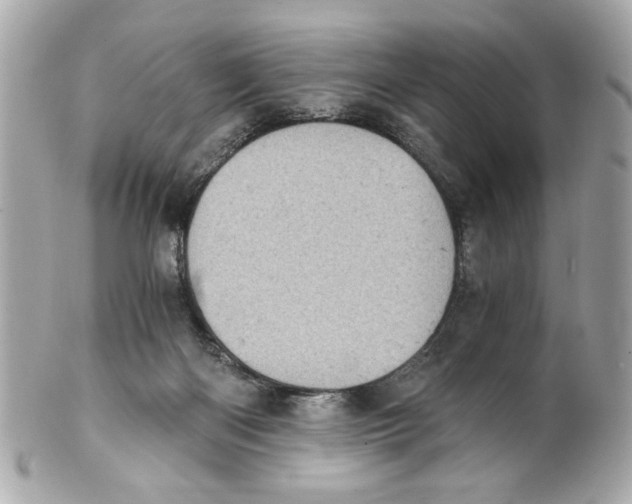 X0000101650122200807311421