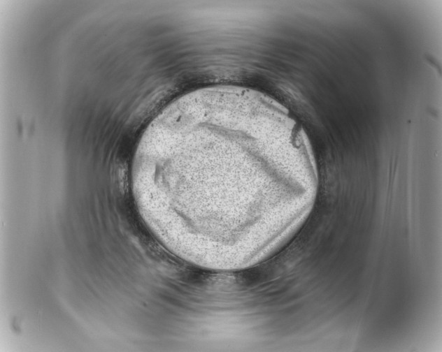 X0000101650123200807311421