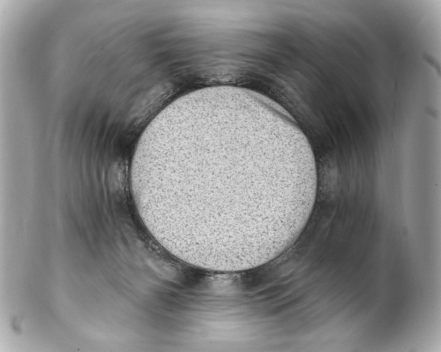 X0000101650126200807311421