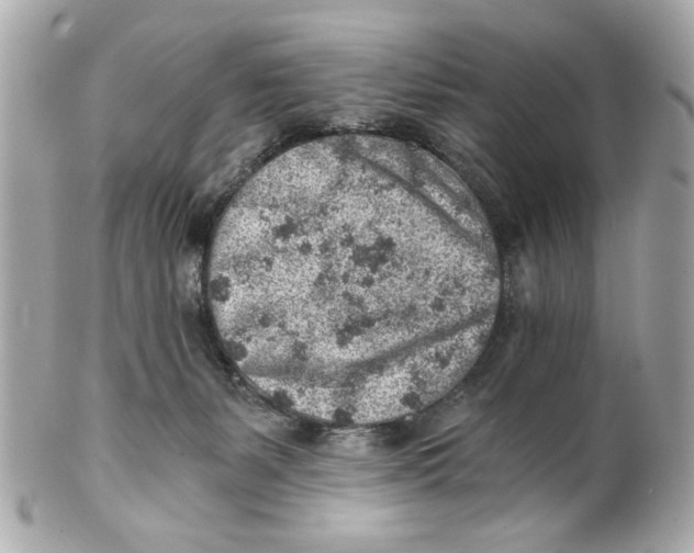 X0000101650127200807311421