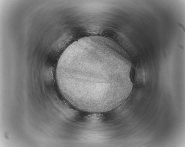 X0000101650128200807311421