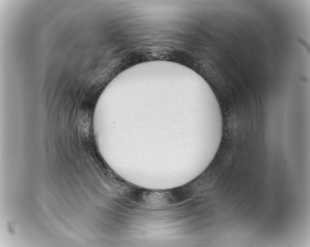 X0000101650129200807311421