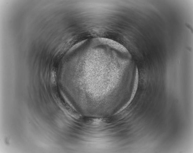 X0000101650130200807311421