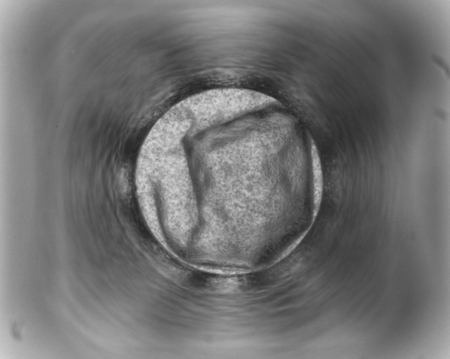 X0000101650131200807311421